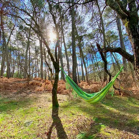 Océane Appartement *